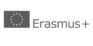 Erasmus plus