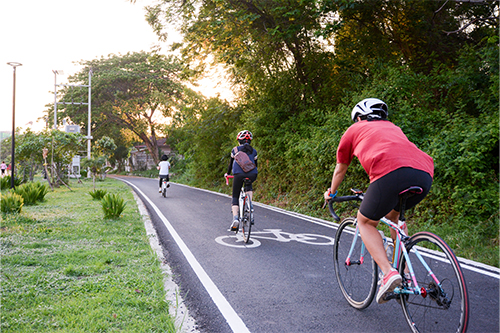 People cycling in nature